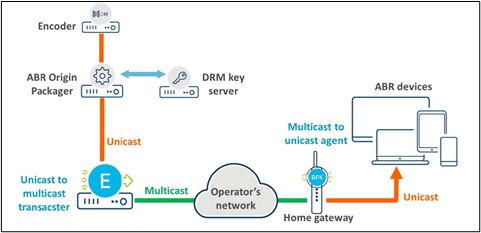 multicast abr operation